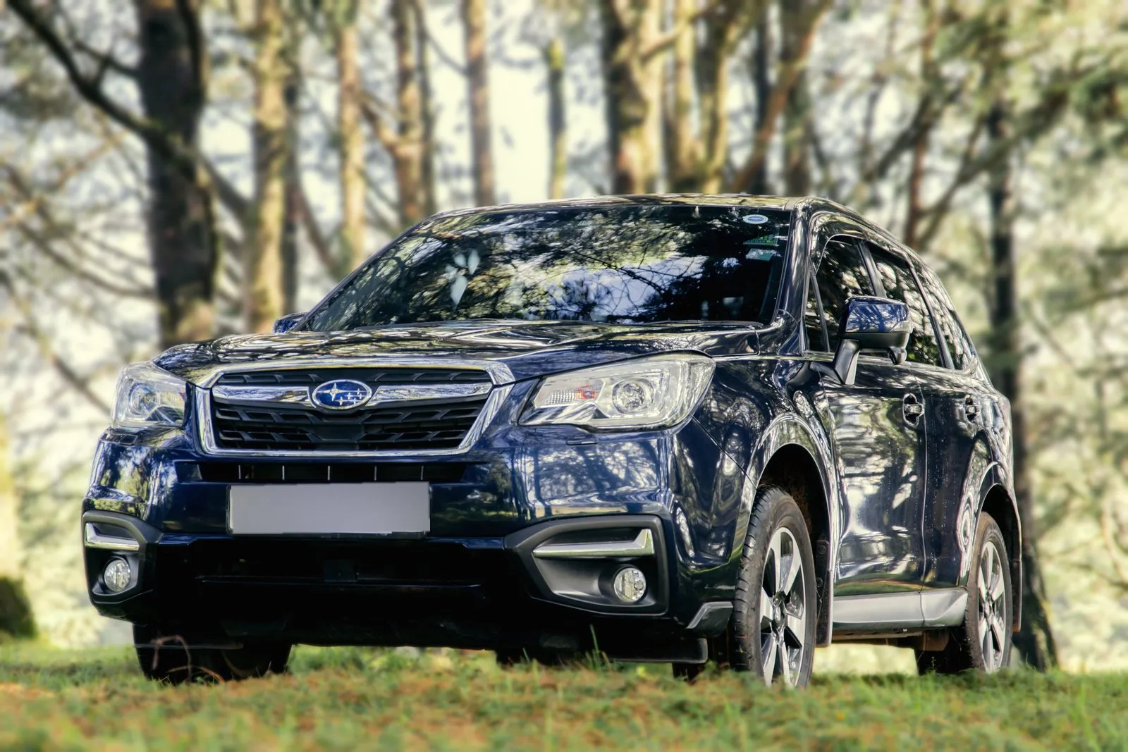 Subaru Forester, front three-quarter in the forest