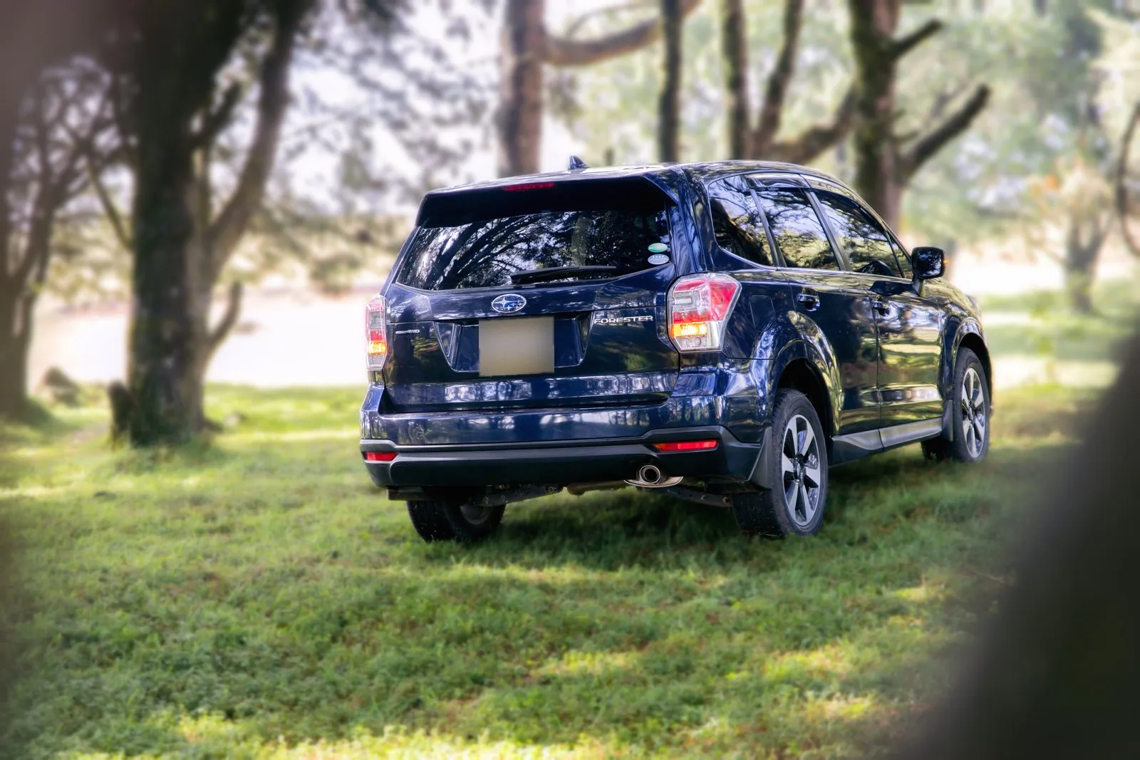 Subaru Forester from the rear three-quarter among the trees